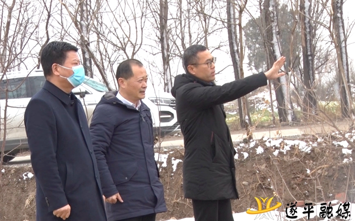 01935.MTS_000002.618.jpg 01935.MTS_000002.618.jpg