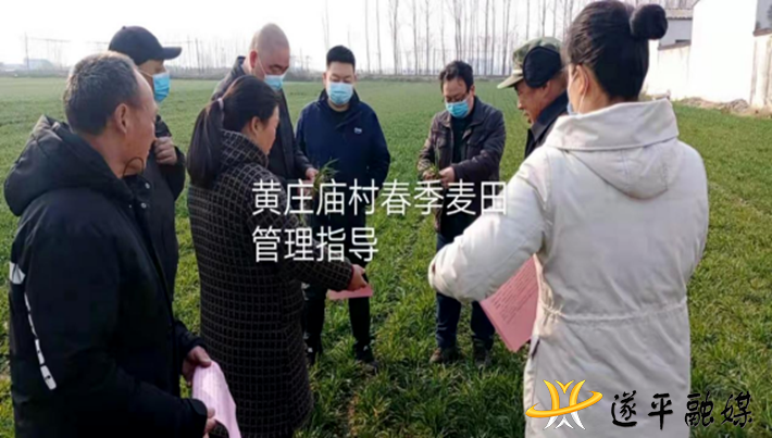 小麦春管正当时，农技下乡助增收187.png