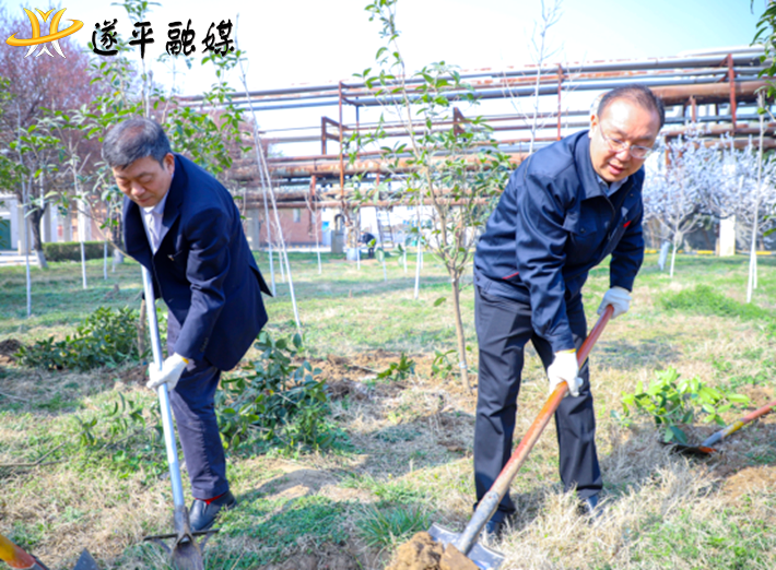 春风十里添新绿 秋收桂香满白云  外投245.png