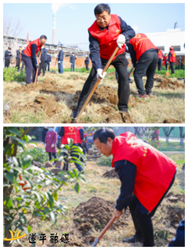 春风十里添新绿 秋收桂香满白云  外投394.png