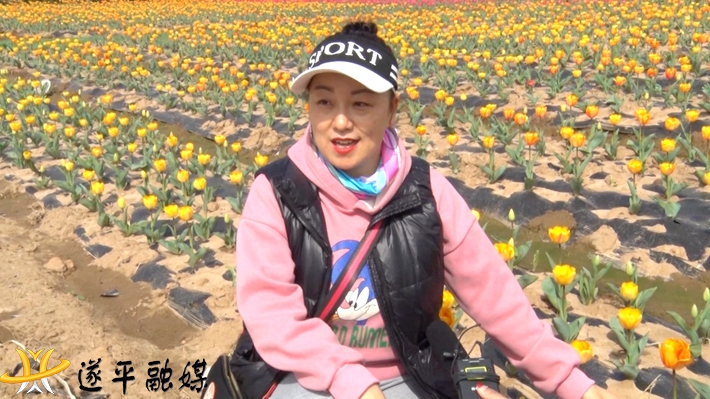 2022-3-29 遂平：花开美艳惹人醉  嵖岈山下郁金香.mpg_000620.979.jpg