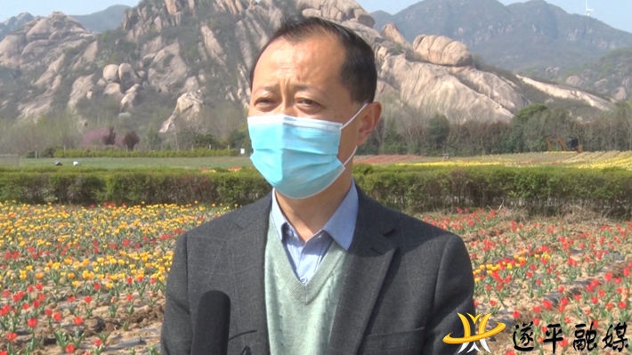 2022-3-29 遂平：花开美艳惹人醉  嵖岈山下郁金香.mpg_000635.438.jpg