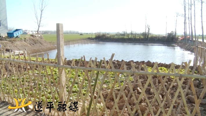 2021-01-14-025346100.jpg 2021-01-14-025346100.jpg