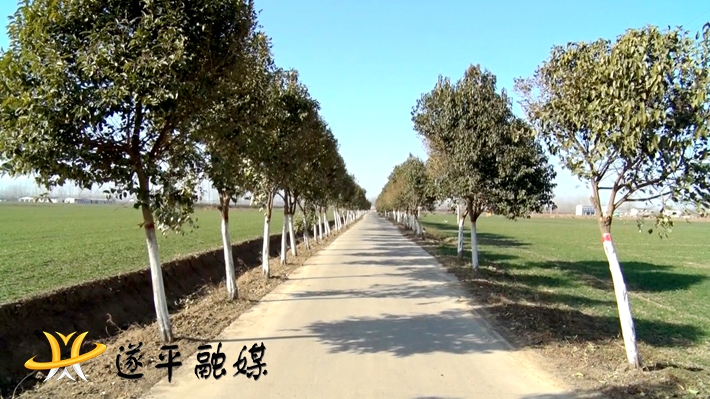 2021-01-14-02265668.jpg 2021-01-14-02265668.jpg