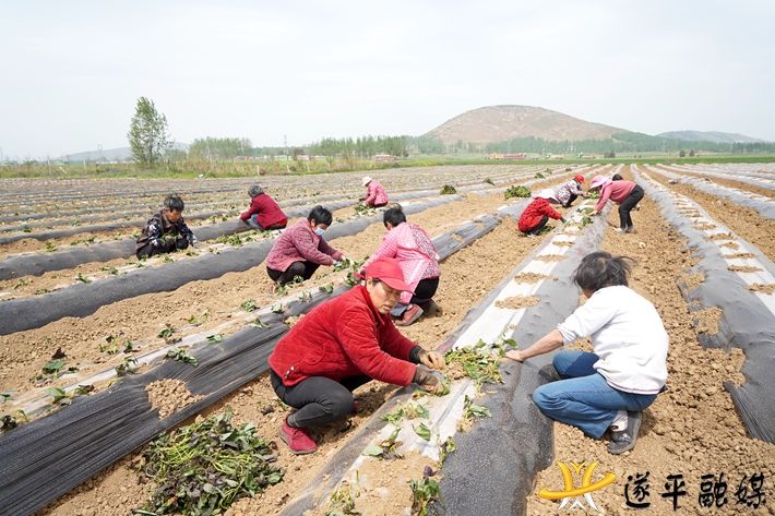 e209517aaeabbd0dee4ef57ac33f5d1.jpg e209517aaeabbd0dee4ef57ac33f5d1.jpg