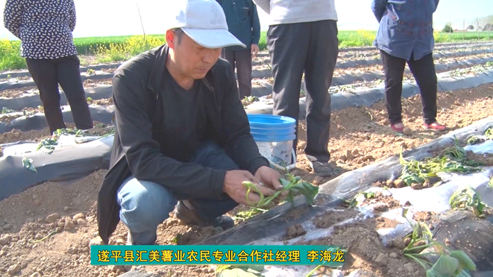 Still0414_00002.bmp Still0414_00002.bmp