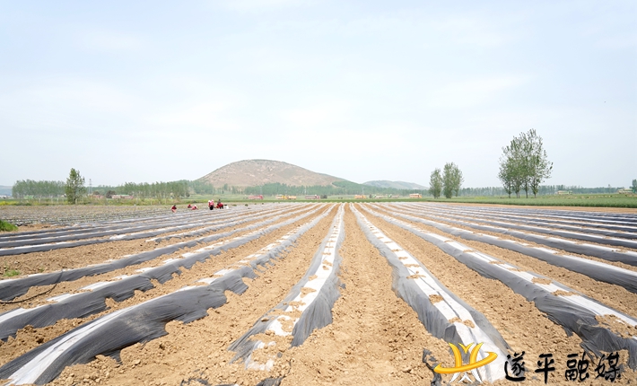 ead5d94204f79b7cd7c70a2c1f59162.jpg ead5d94204f79b7cd7c70a2c1f59162.jpg