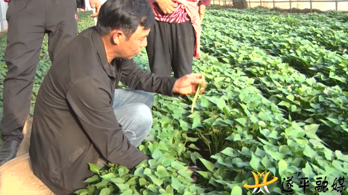 Still0414_00003.bmp Still0414_00003.bmp