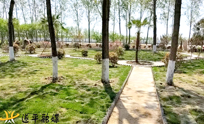 图片2.png 图片2.png