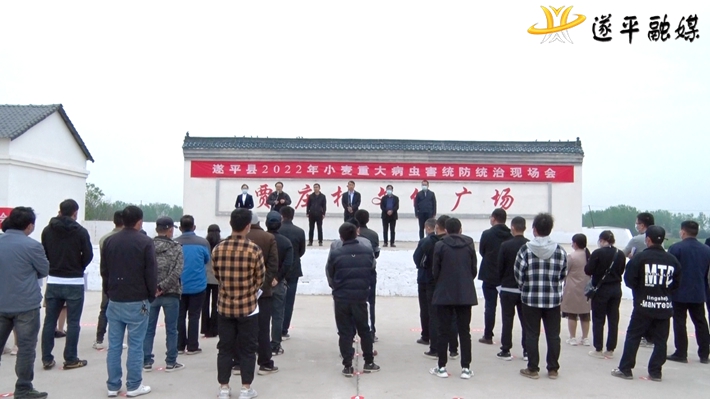 01471.MTS_000000.933.jpg 01471.MTS_000000.933.jpg