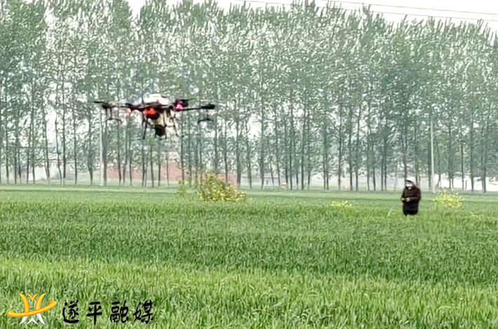 图片2.png 图片2.png