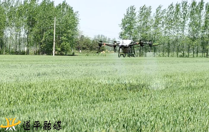 图片1.png 图片1.png