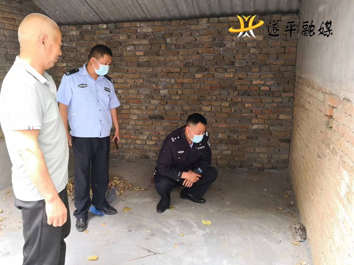 7409d6d0d3428a0004070a2798fc9e8.jpg 7409d6d0d3428a0004070a2798fc9e8.jpg