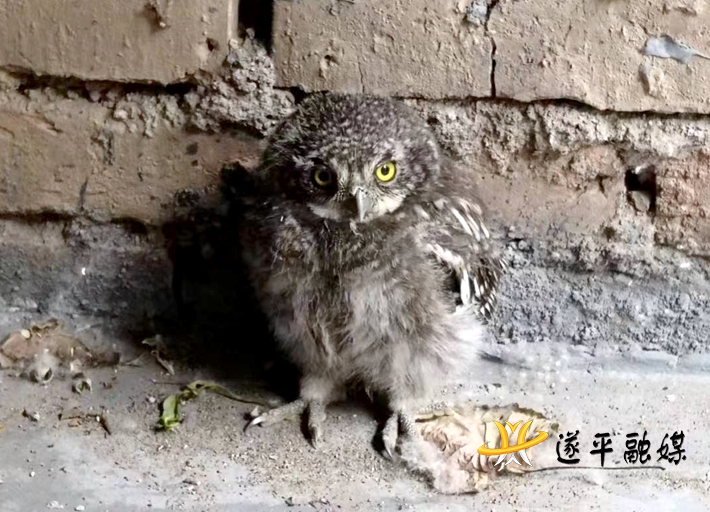 96116d960541aec862cd200bab5ea18.jpg 96116d960541aec862cd200bab5ea18.jpg