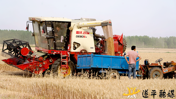 正在作业的小麦收割机.png