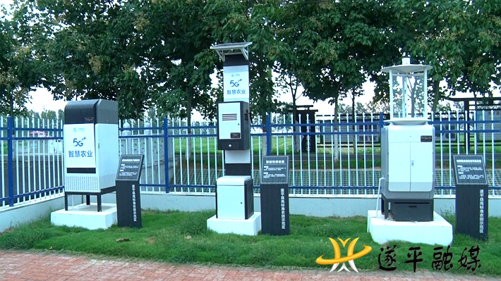 00795.MTS_20220704_173816.487_副本.jpg 00795.MTS_20220704_173816.487_副本.jpg