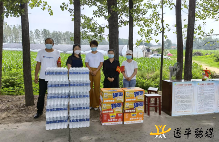 遂平县玉山镇：爱心捐赠  共抗疫情229.png