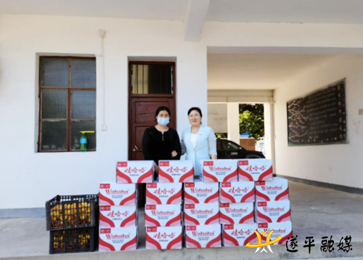 遂平县玉山镇：爱心捐赠  共抗疫情164.png