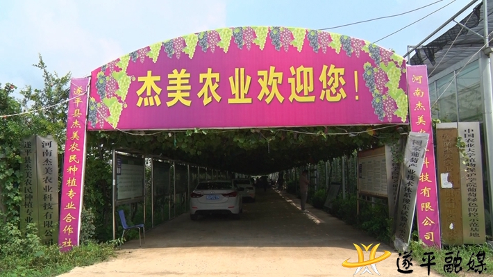 00790.MTS_000001.065.jpg 00790.MTS_000001.065.jpg