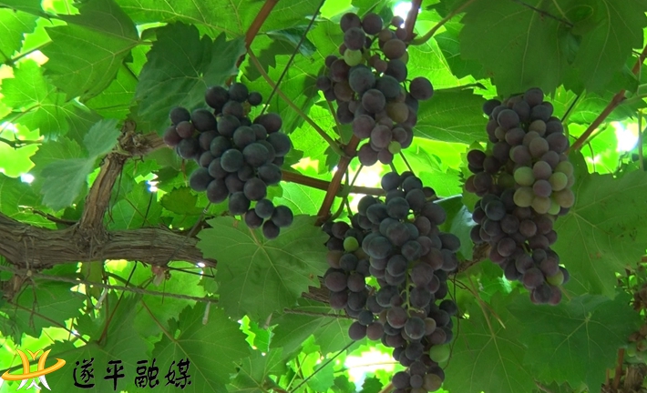 00737.MTS_000001.149.jpg 00737.MTS_000001.149.jpg