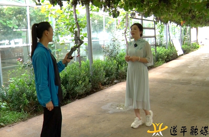 00741.MTS_000003.075.jpg 00741.MTS_000003.075.jpg