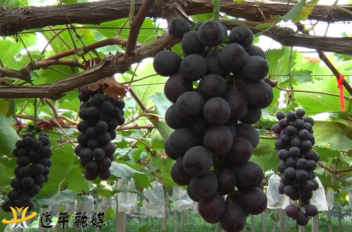 00779.MTS_000001.037.jpg 00779.MTS_000001.037.jpg