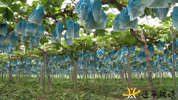 00758.MTS_000001.359.jpg 00758.MTS_000001.359.jpg