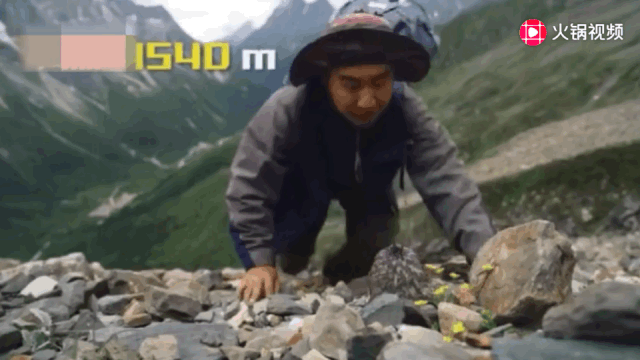05.gif 05.gif