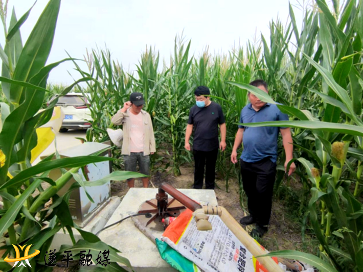 遂平县玉山镇:多措并举抗旱情 全力以赴保秋收294.png 遂平县玉山镇:多措并举抗旱情 全力以赴保秋收294.png