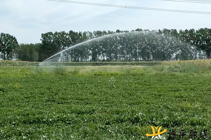 9d44ed11aef62b22f865004e91f6c090.jpg 9d44ed11aef62b22f865004e91f6c090.jpg