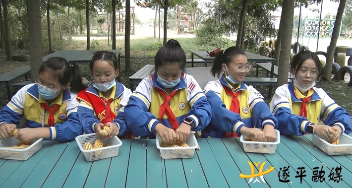 00196.MTS_20220926_162246.749_副本.jpg 00196.MTS_20220926_162246.749_副本.jpg