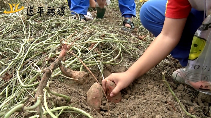 00225.MTS_20220926_163035.383_副本.jpg 00225.MTS_20220926_163035.383_副本.jpg