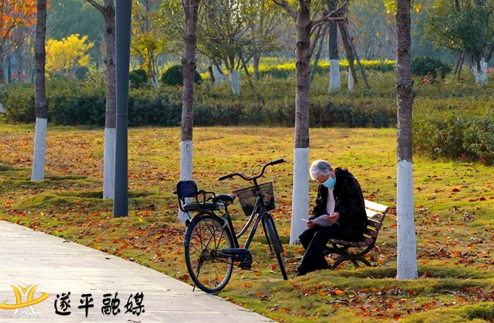 老人在公园读报.jpg
