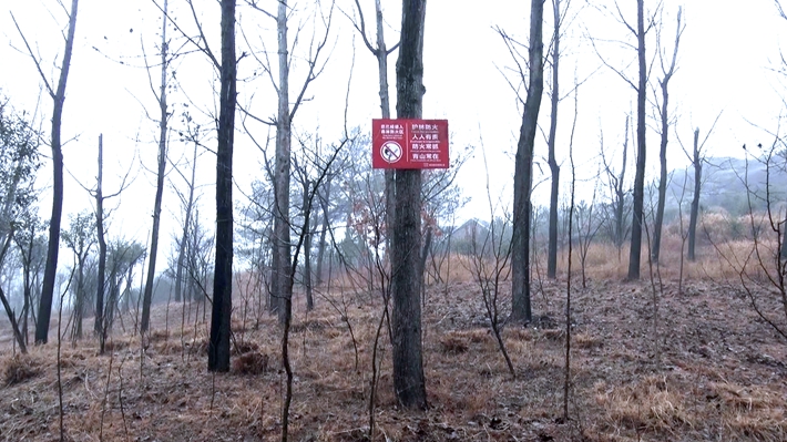 01995.MTS_20230113_174649.018_副本.jpg 01995.MTS_20230113_174649.018_副本.jpg