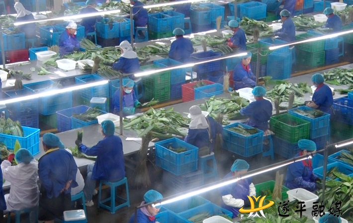 84d7bd8365d20632b9532191396026d.jpg 84d7bd8365d20632b9532191396026d.jpg