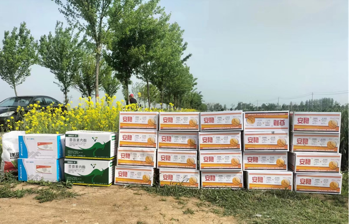 图片3.png 图片3.png