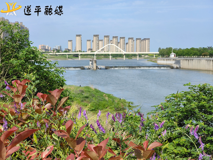 绿色汝河.png