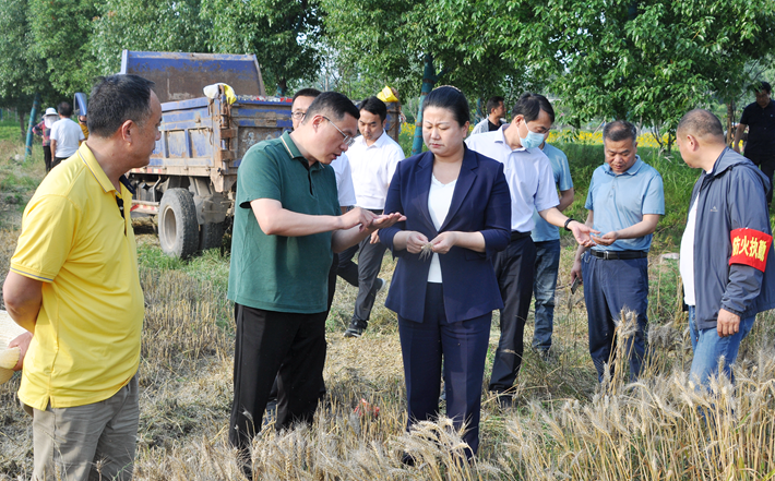 微信图片_20230601184237.png 微信图片_20230601184237.png