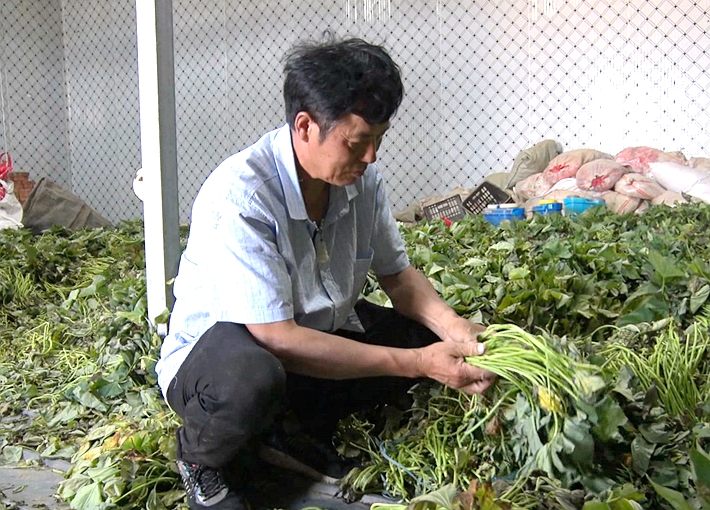 2023-6-12遂平:种植红薯助增收 致富带来新“薯”光.mpg_000309.301_副本.jpg 2023-6-12遂平:种植红薯助增收 致富带来新“薯”光.mpg_000309.301_副本.jpg