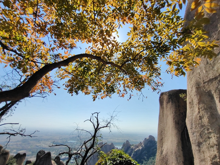 嵖岈山秋色.jpg