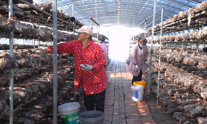 2023--12-28遂平智库  王明纪.mp4_000053.133.jpg