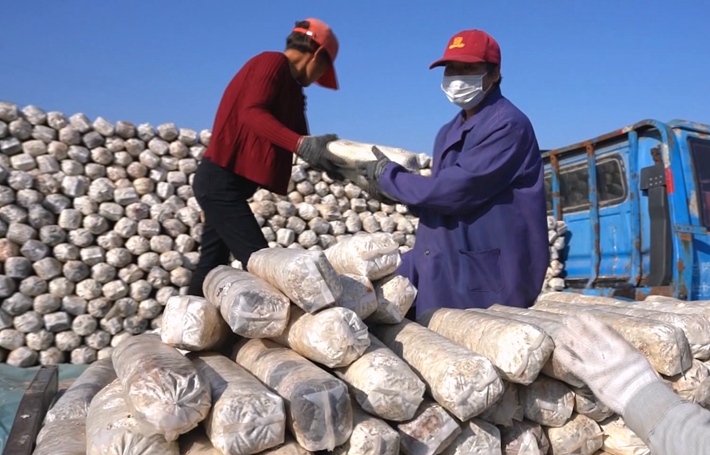 2023--12-28遂平智库  王明纪.mp4_000437.581.jpg