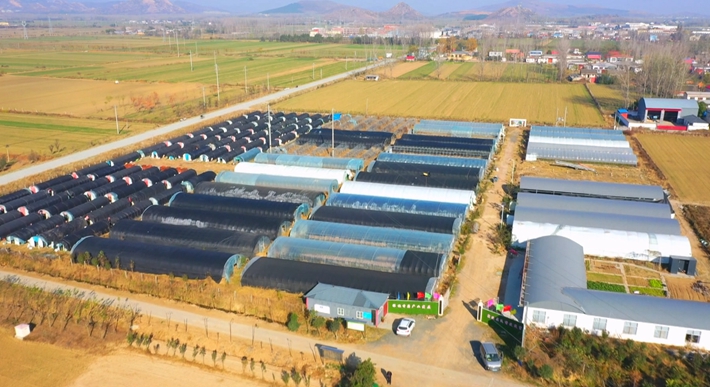 2023--12-28遂平智库  王明纪.mp4_000442.190.jpg