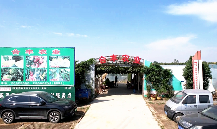 2024-9-24遂平：大棚满园绿 铺就致富路.mp4_20240925_084653.979_副本.jpg