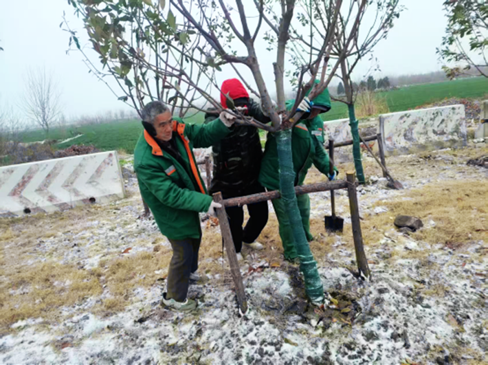 园林绿化中心全力做好雨雪寒潮天气下的清理工作320.png