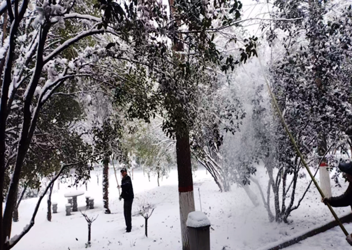 园林绿化中心全力做好雨雪寒潮天气下的清理工作322.png