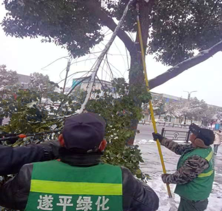 园林绿化中心全力做好雨雪寒潮天气下的清理工作394.png