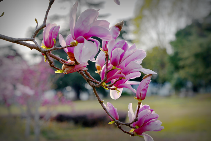 67f833514c0a4a918bea479e0a5da141.png