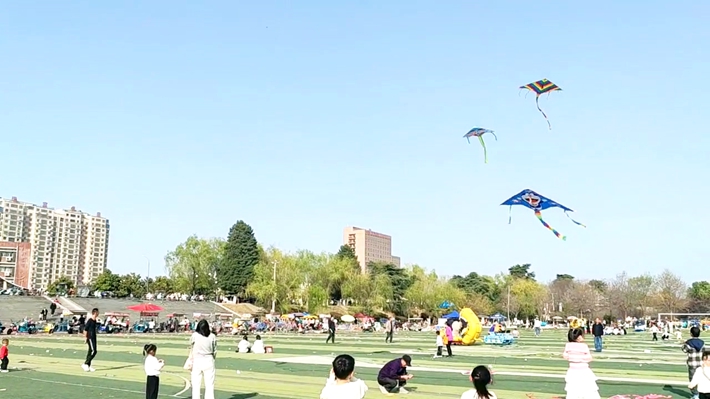 b7f56ef09eba00b2822f6294e5321ea2.mp4_000008.765_副本.jpg