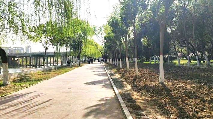 84f55ea18f01cb63d6204237d4bcb2d7.mp4_000004.513_副本.jpg
